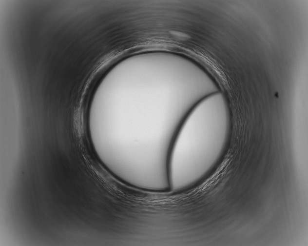 X0000098130982200804171055