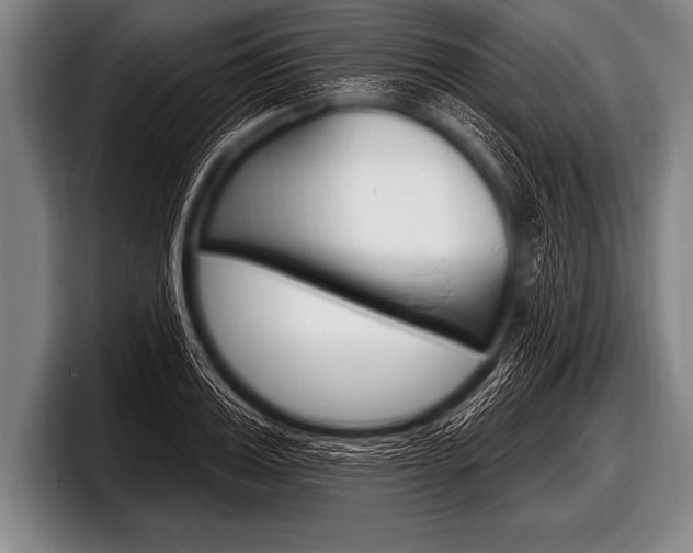 X0000098130987200804171055