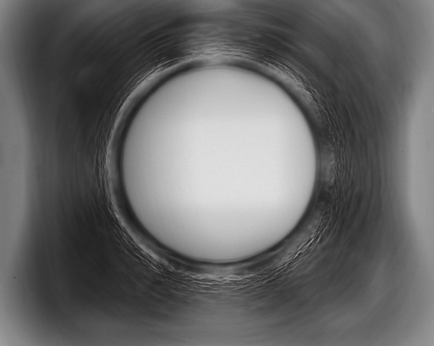 X0000098130990200804171055