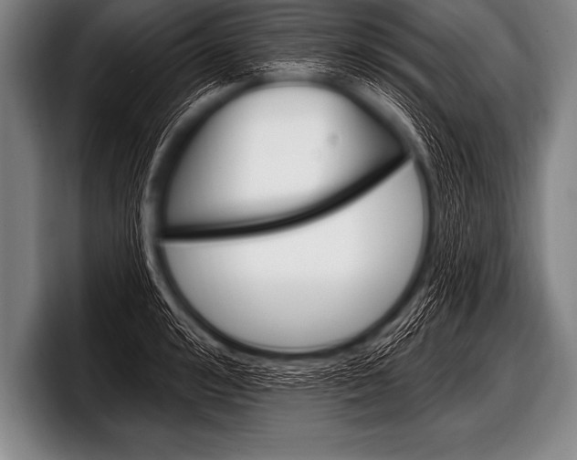 X0000098130992200804171055