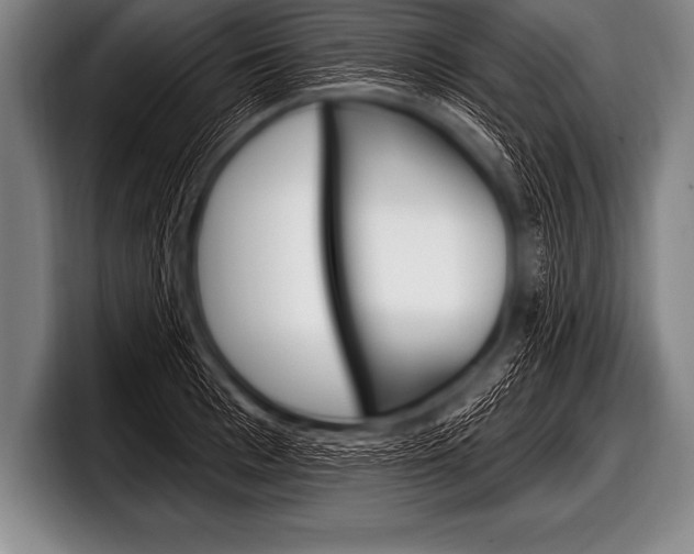 X0000098130993200804171055