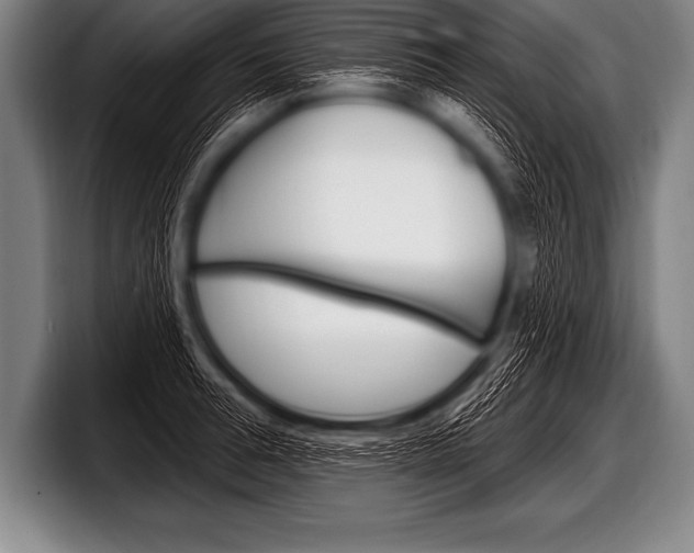 X0000098130994200804171055
