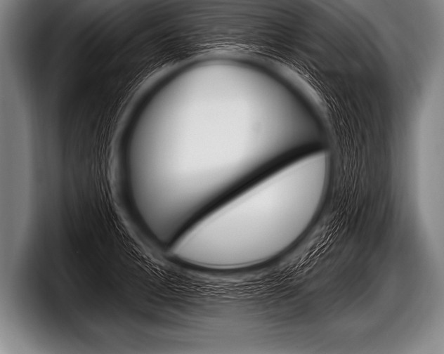 X0000098130996200804171055