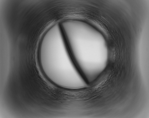 X0000098130999200804171055