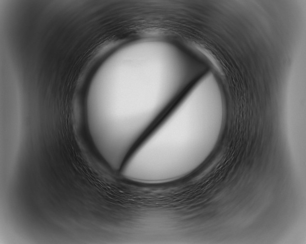 X0000098131000200804171055