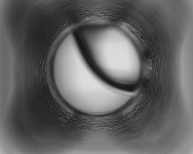 X0000098131005200804171055