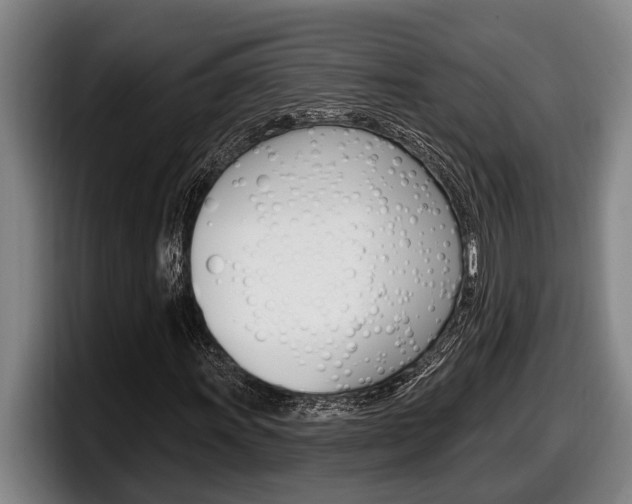 X0000098131011200804171054
