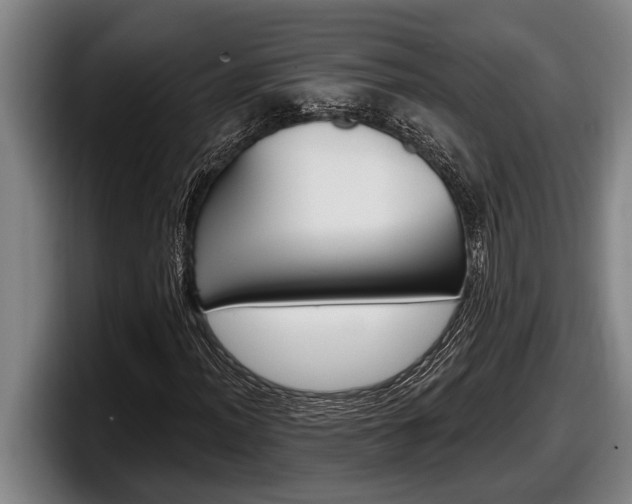 X0000098131012200804171054