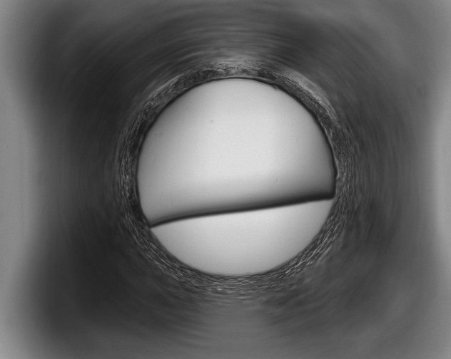X0000098131015200804171054