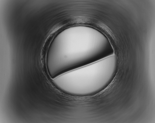 X0000098131018200804171055