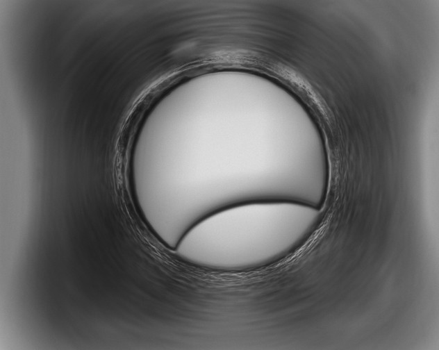 X0000098131019200804171055