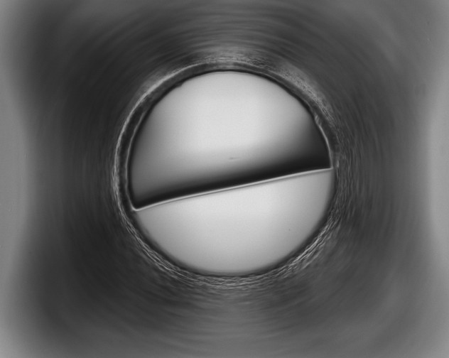 X0000098131020200804171055