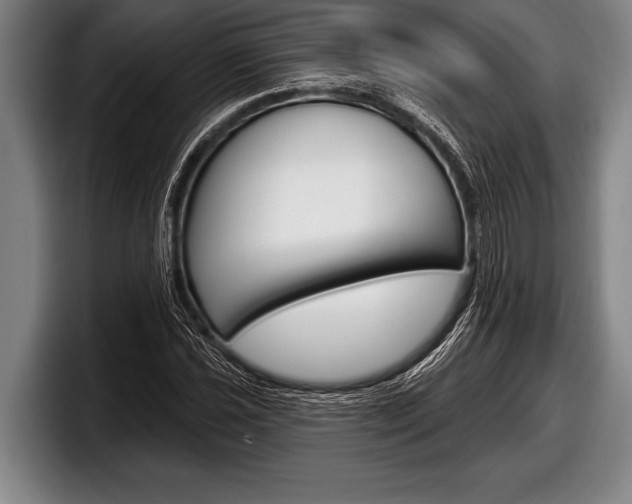 X0000098131021200804171055