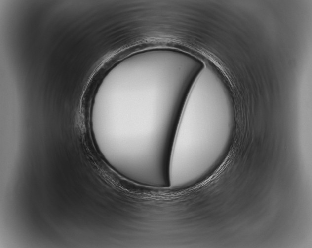X0000098131022200804171055