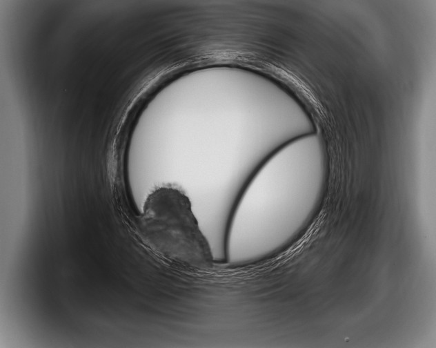 X0000098131023200804171055