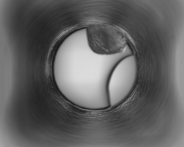 X0000098131027200804171055
