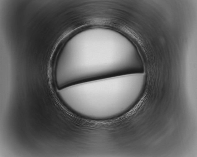 X0000098131029200804171055