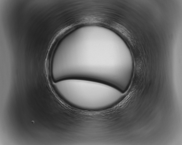 X0000098131030200804171055