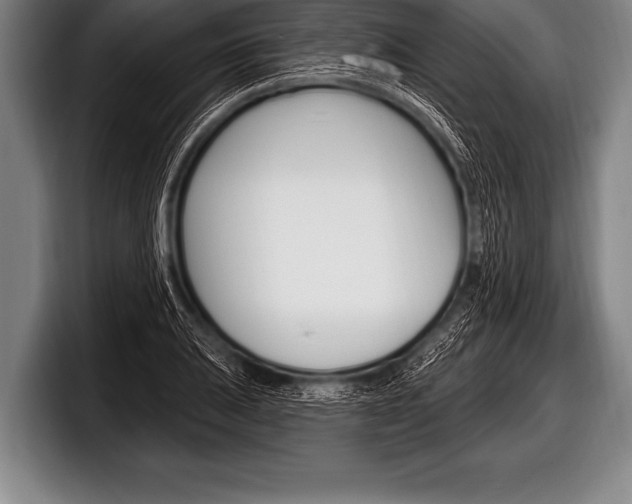 X0000098131031200804171055