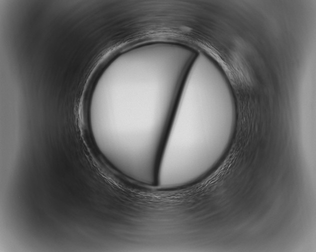 X0000098131032200804171055