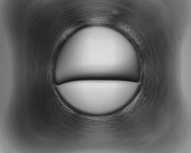 X0000098131033200804171055