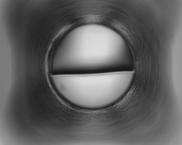 X0000098131034200804171055