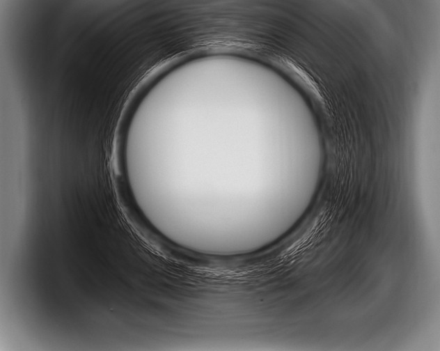 X0000098131036200804171055