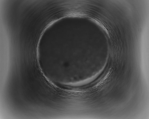 X0000098131037200804171055