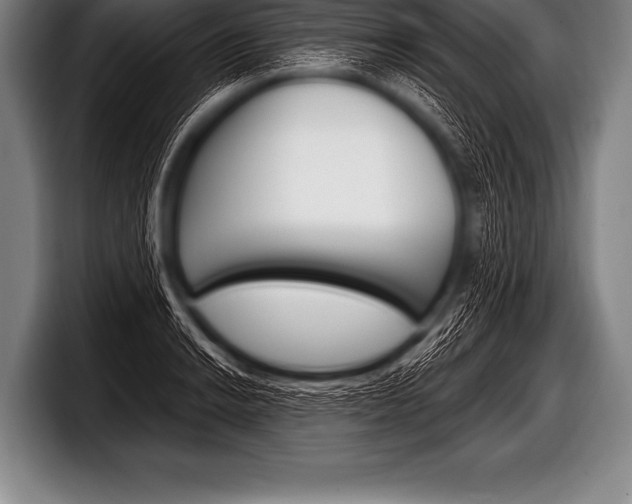 X0000098131038200804171055