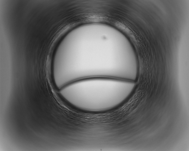 X0000098131039200804171055