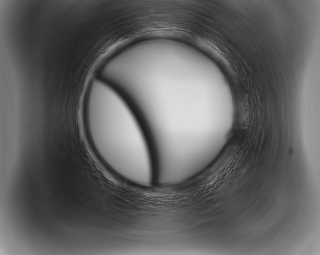 X0000098131040200804171055