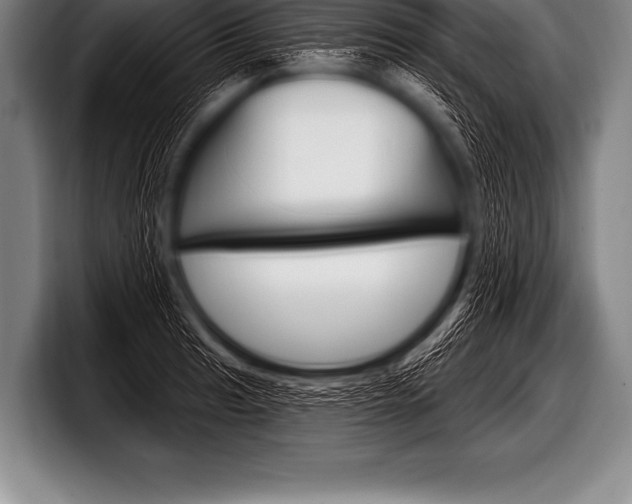 X0000098131041200804171055