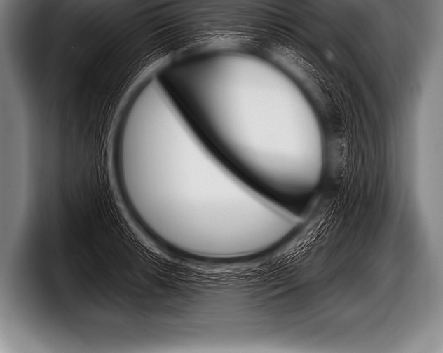 X0000098131042200804171055