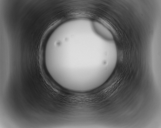X0000098131043200804171055