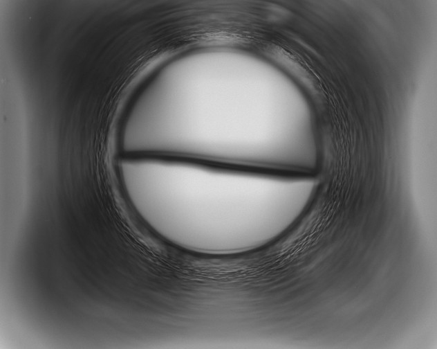 X0000098131044200804171055