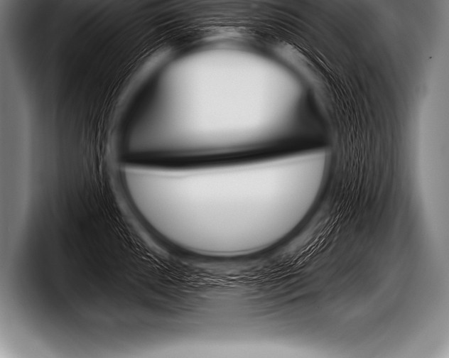 X0000098131050200804171055