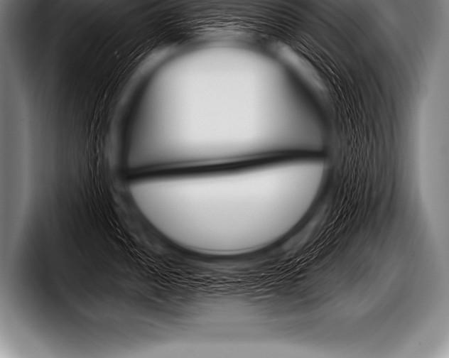 X0000098131052200804171055
