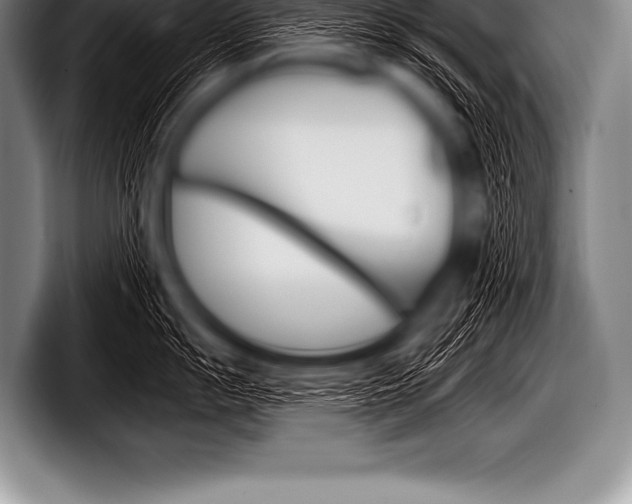 X0000098131055200804171055
