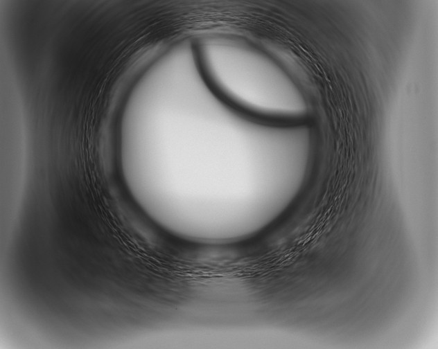 X0000098131056200804171055