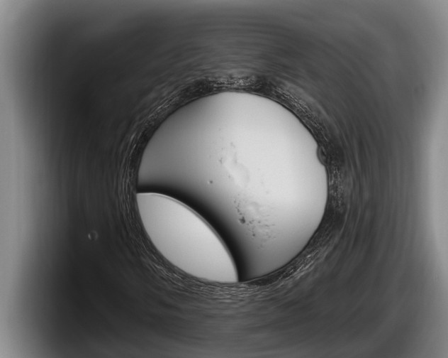 X0000098131058200804171054