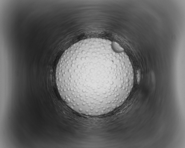 X0000098131059200804171054
