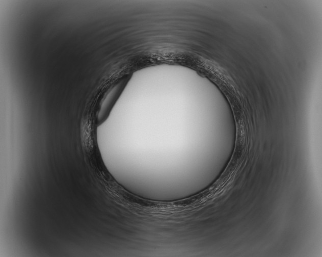 X0000098131060200804171054