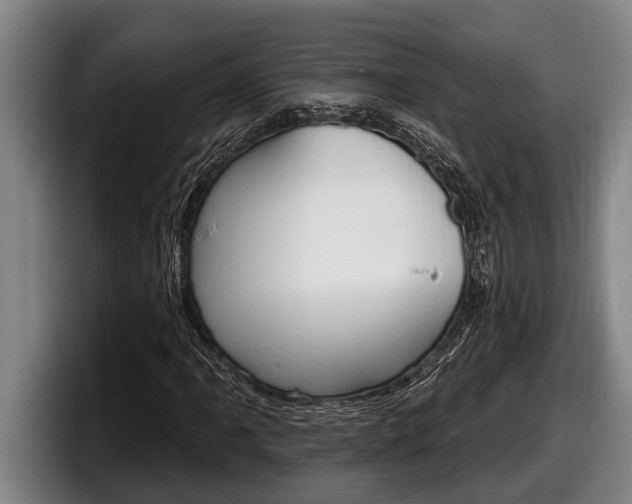 X0000098131061200804171054