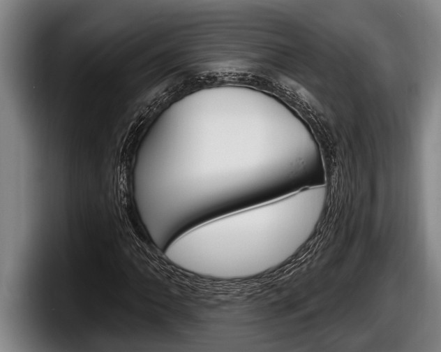 X0000098131062200804171054