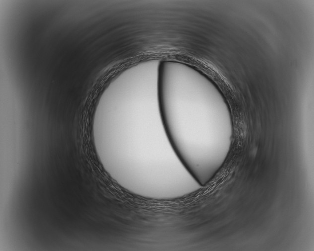 X0000098131063200804171054