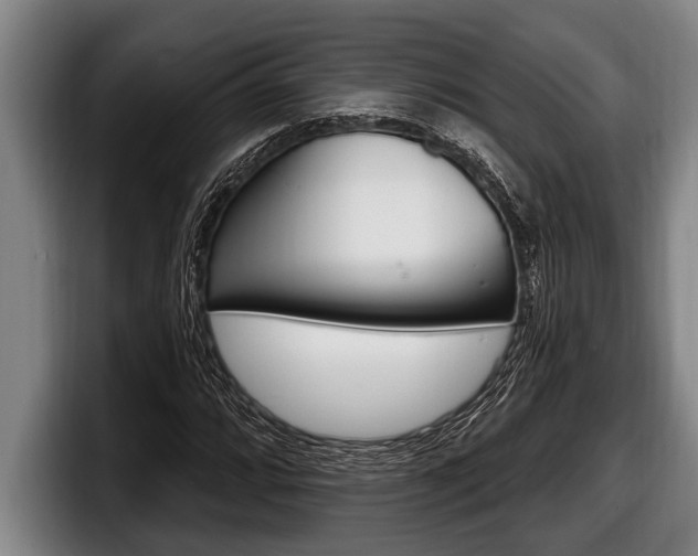 X0000098131064200804171054