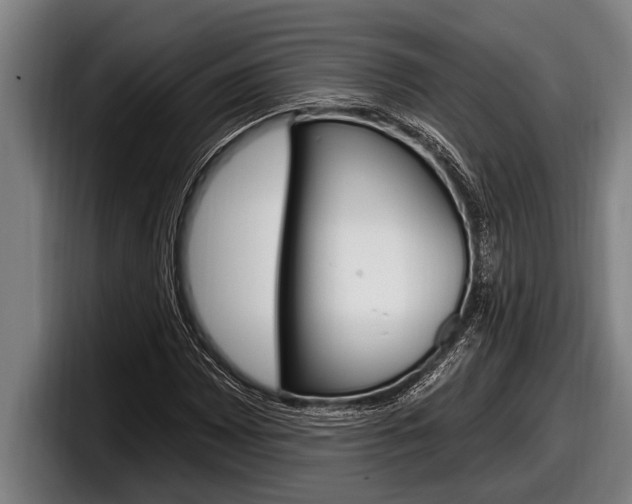 X0000098131065200804171054