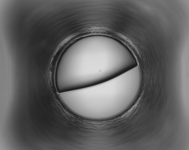 X0000098131066200804171054