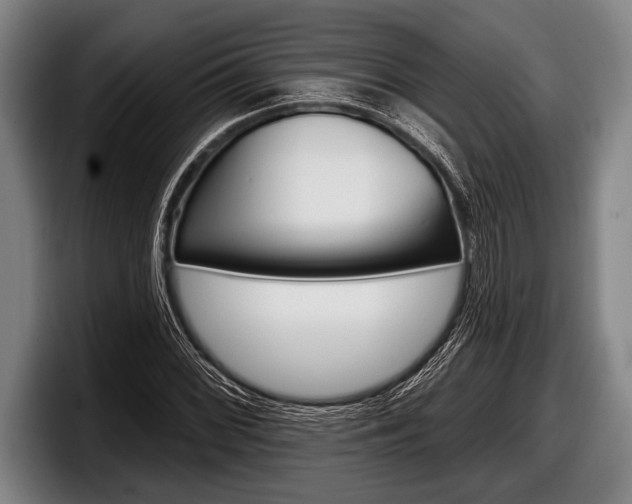 X0000098131068200804171054