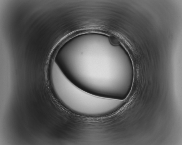 X0000098131069200804171054